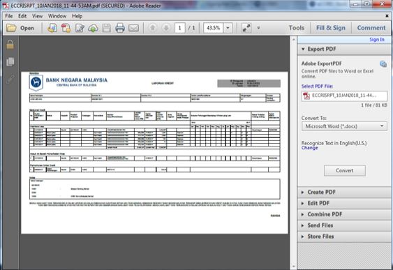Laporan CCRIS Online