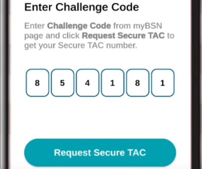 Request Secure TAC