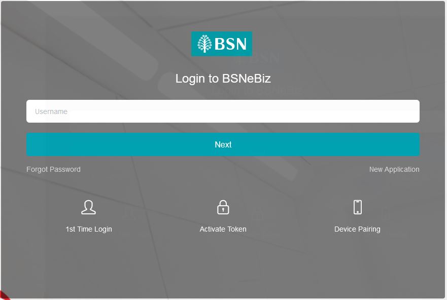 BSNeBiz Login